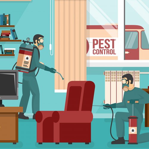  Advertisement Poster of pest control service team at work spraying insecticide in living room